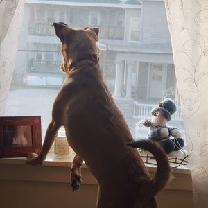 Meet your Posher, Heidi